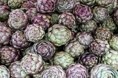Vidi Carciofi Sicilia